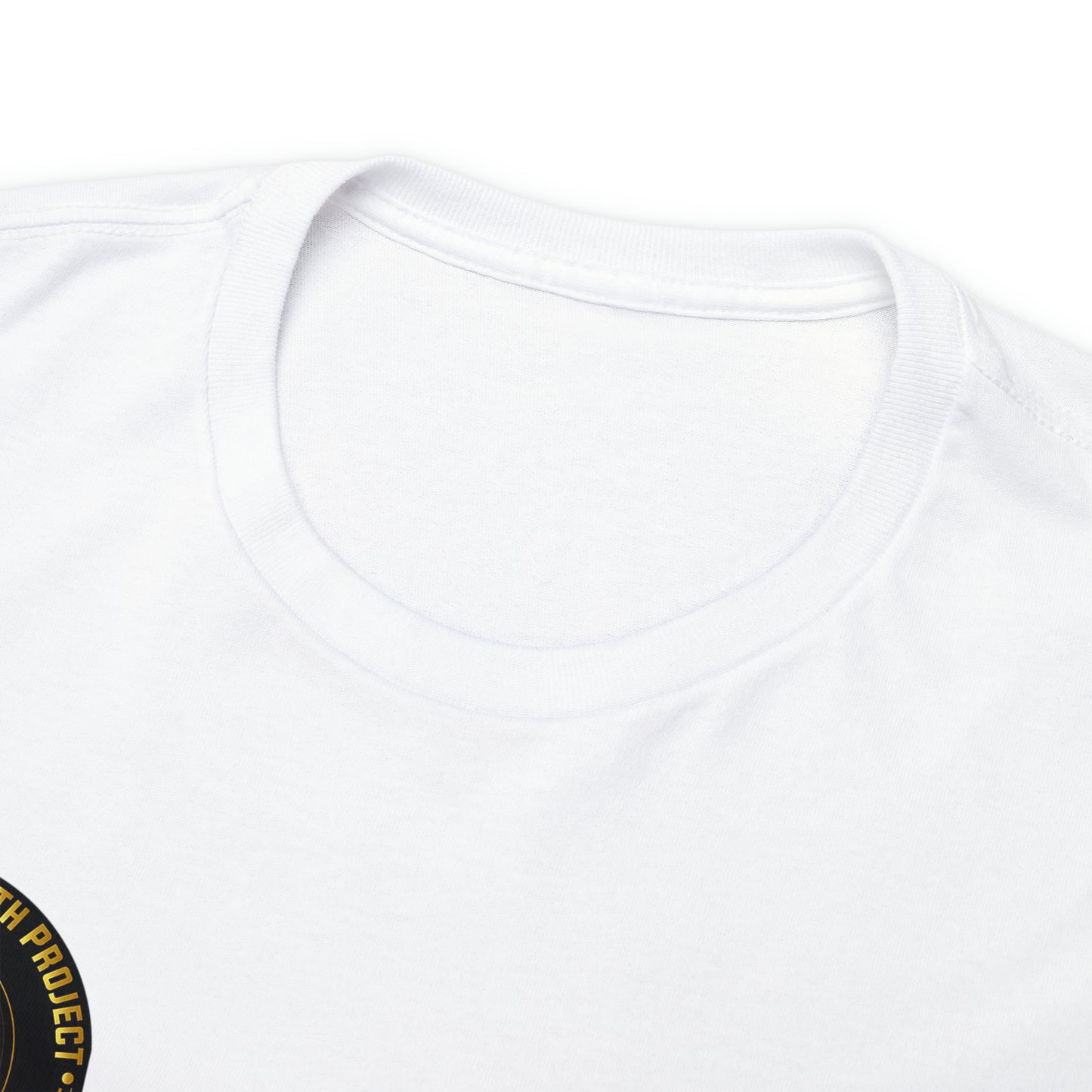Women's Black Legacy Wealth Project Heavy Cotton Tee