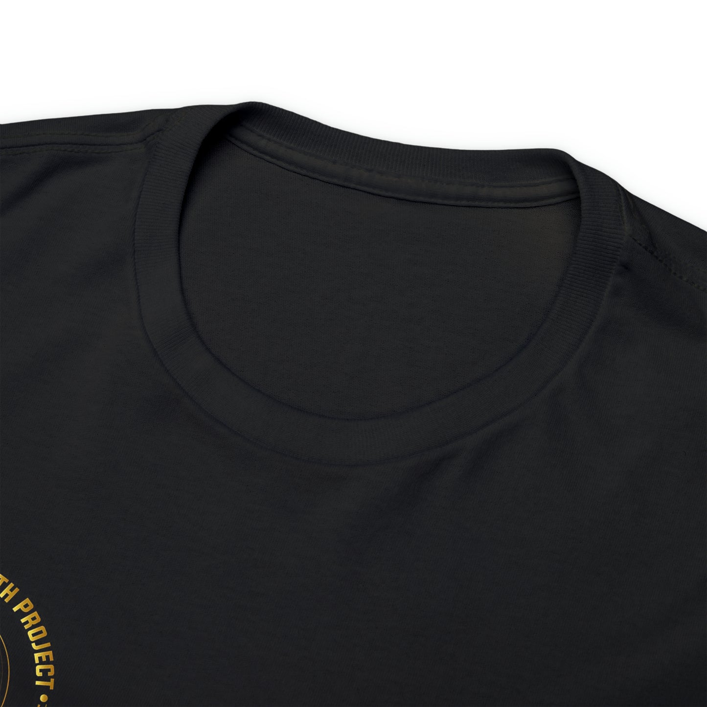 Women's Black Legacy Wealth Project Heavy Cotton Tee